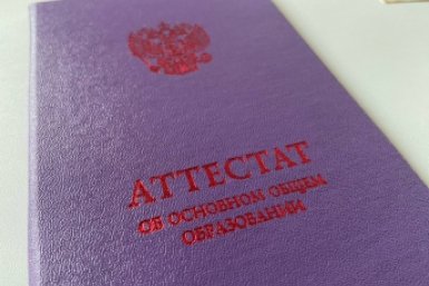 Вы аттестат - просто фальшивка, если вам слабо набрать 8/8 - ТЕСТ ИА SevastopolMedia