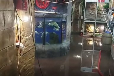 Новость