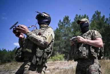 Когда "птицы" под присмотром "Лиса"